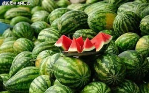 免费吃瓜网站有哪些,畅享娱乐资讯的宝藏之地  第1张