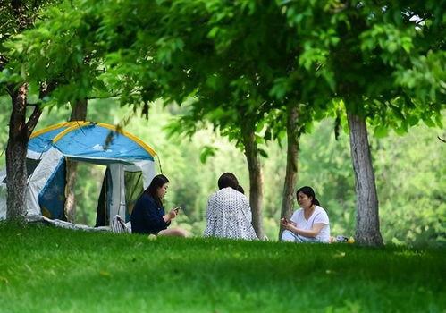 女子爆料破坏草地视频播放,女子爆料破坏草地视频引发热议  第2张