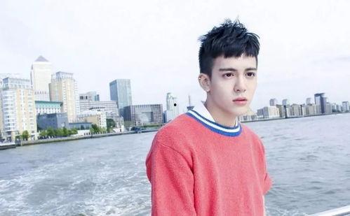 刘宪华爆料对象是谁呀视频,视频主角身份成谜 第2张 刘宪华爆料对象是谁呀视频,视频主角身份成谜 第2张