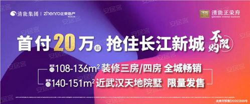 武汉热点新闻爆料视频,揭秘最新爆料视频背后的真相  第2张